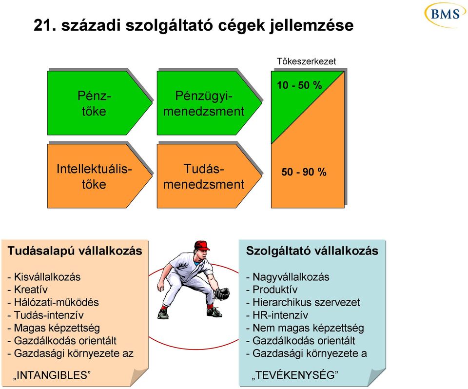 képzettség - Gazdálkodás orientált - Gazdasági környezete az INTANGIBLES Szolgáltató vállalkozás - Nagyvállalkozás -