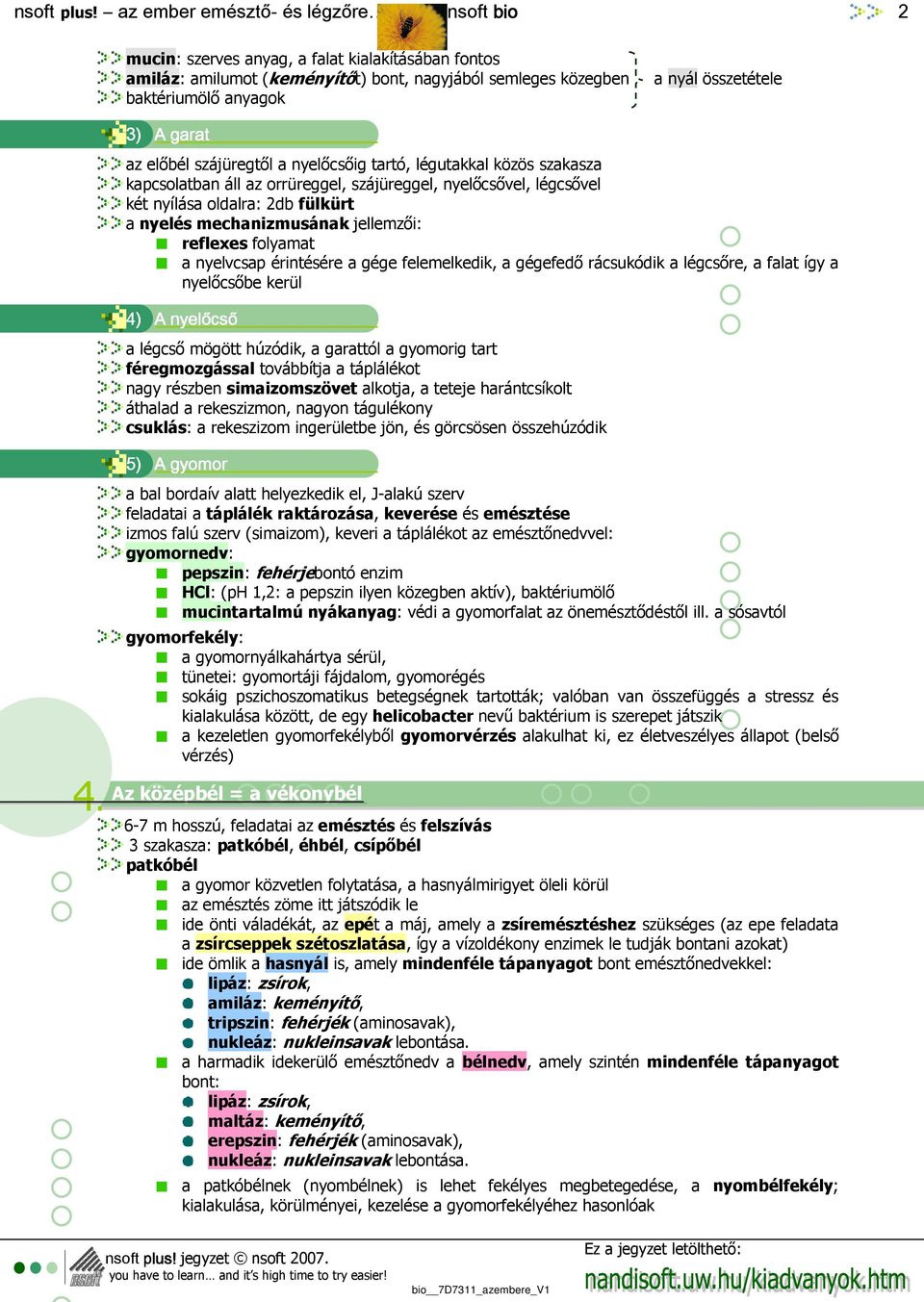 reflexes folyamat a nyelvcsap érintésére a gége felemelkedik, a gégefedı rácsukódik a légcsıre, a falat így a nyelıcsıbe kerül 4) A nyelőcső a légcsı mögött húzódik, a garattól a gyomorig tart