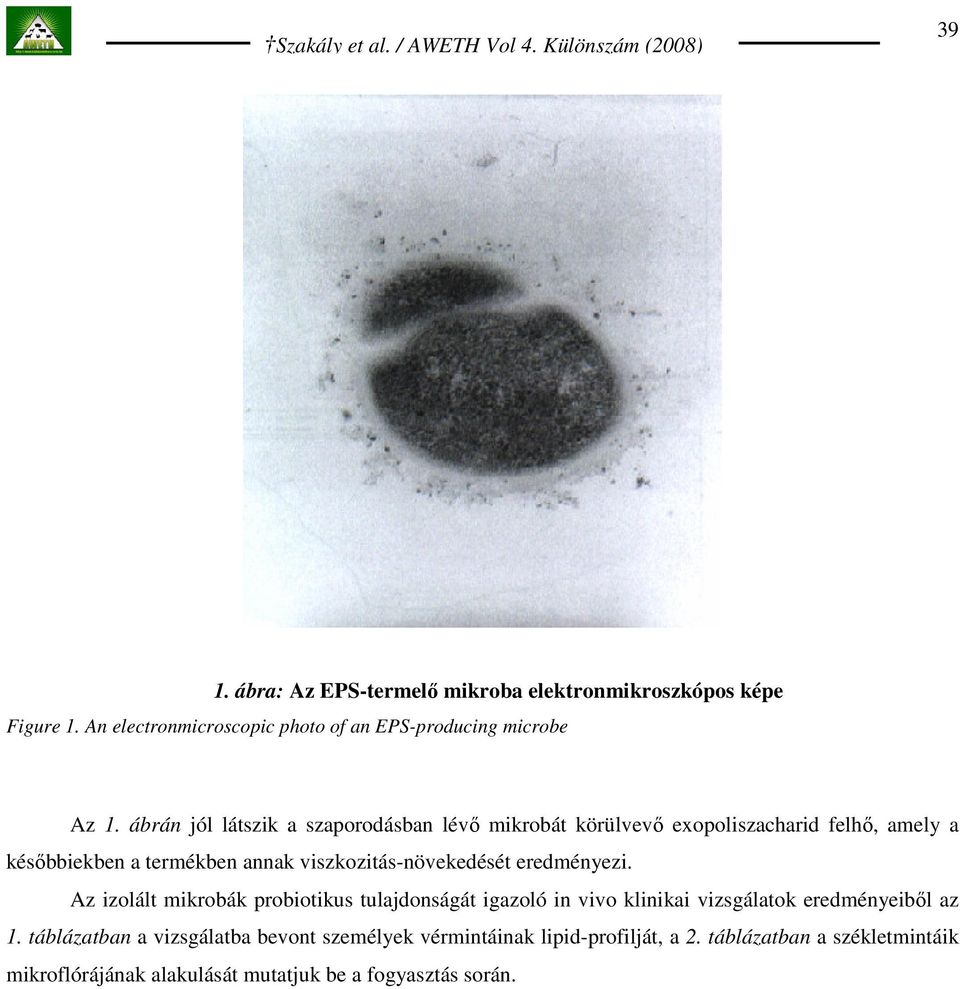 viszkozitás-növekedését eredményezi. Az izolált mikrobák probiotikus tulajdonságát igazoló in vivo klinikai vizsgálatok eredményeibıl az 1.