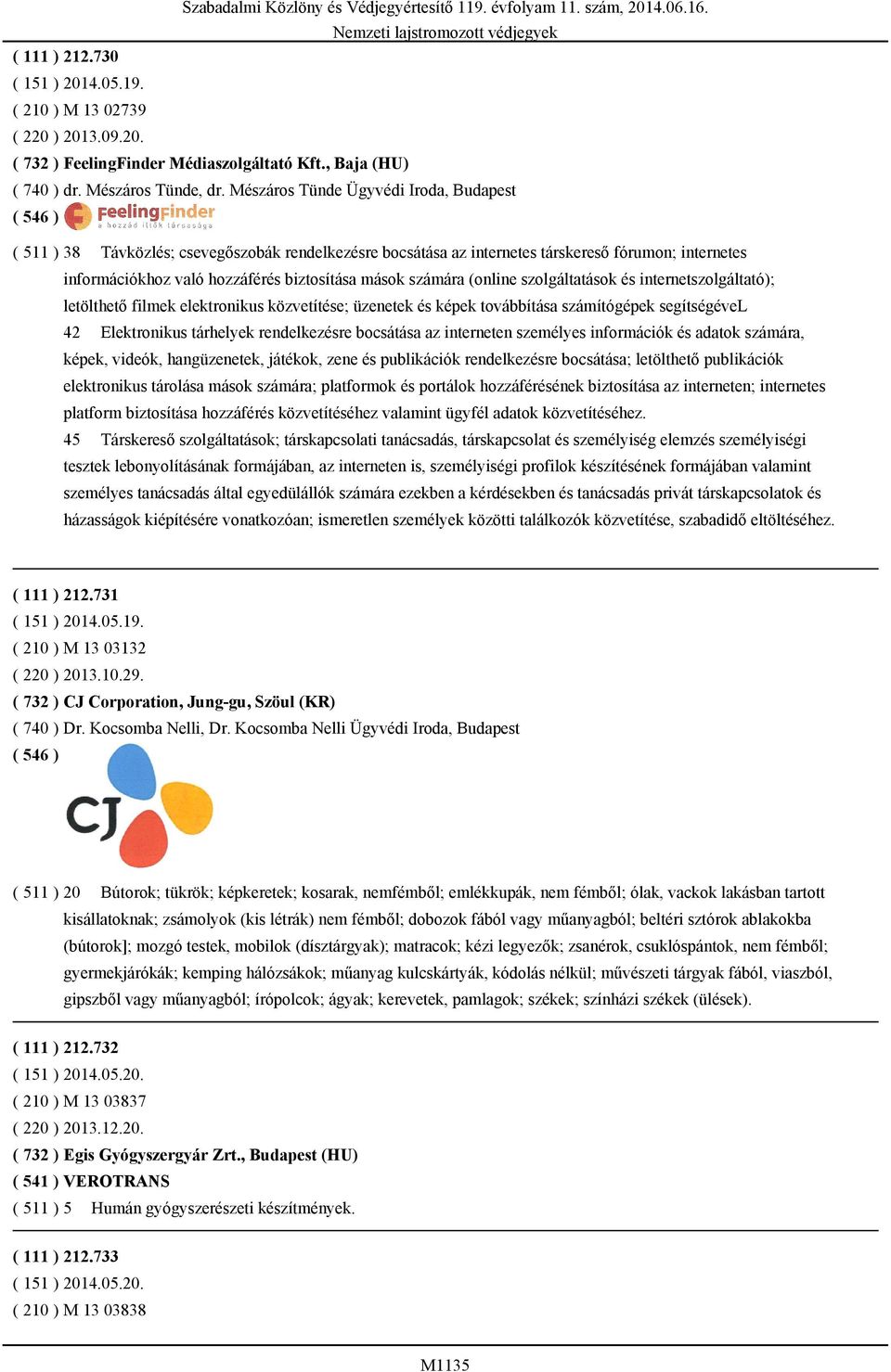 számára (online szolgáltatások és internetszolgáltató); letölthető filmek elektronikus közvetítése; üzenetek és képek továbbítása számítógépek segítségével 42 Elektronikus tárhelyek rendelkezésre