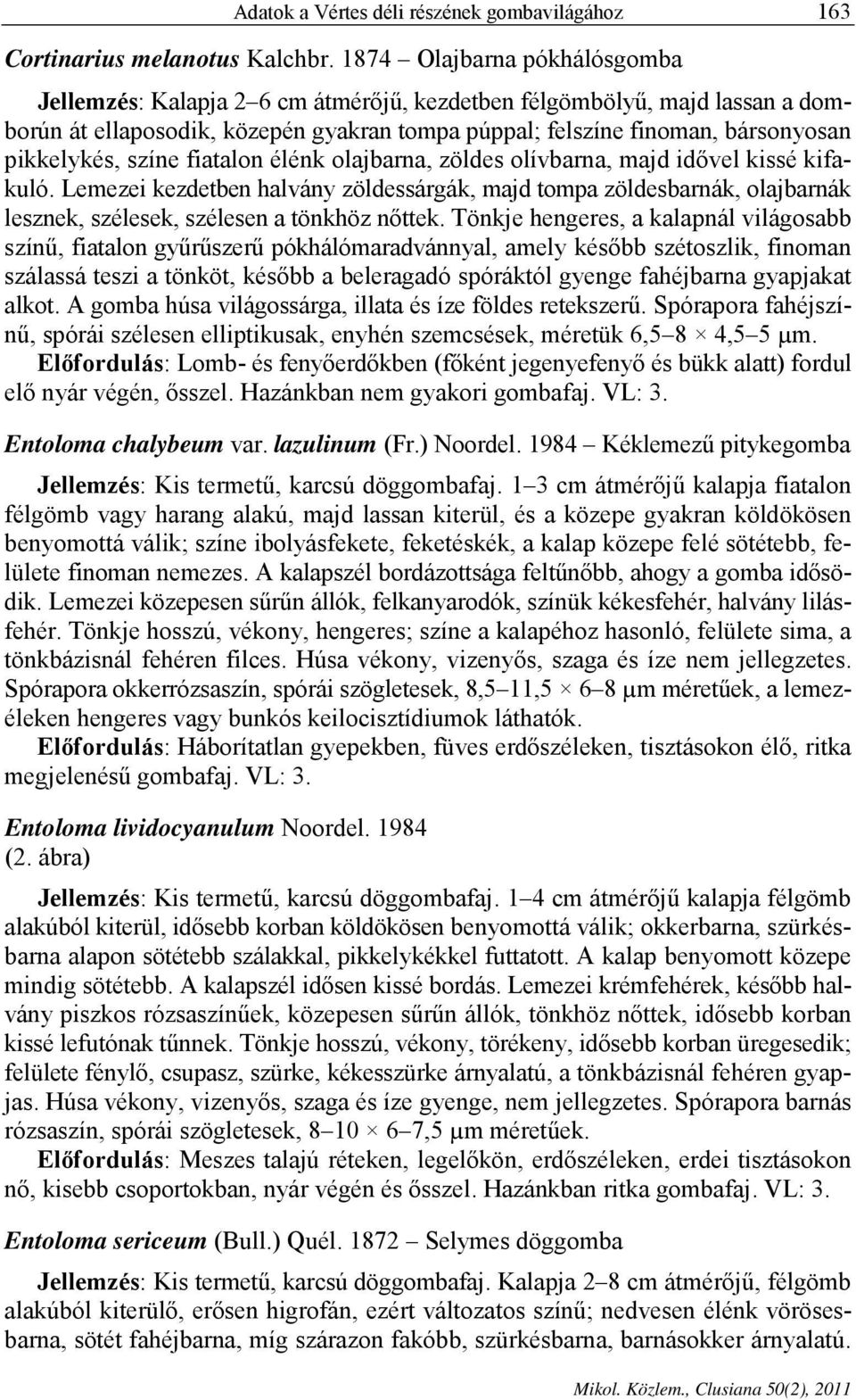 színe fiatalon élénk olajbarna, zöldes olívbarna, majd idővel kissé kifakuló. Lemezei kezdetben halvány zöldessárgák, majd tompa zöldesbarnák, olajbarnák lesznek, szélesek, szélesen a tönkhöz nőttek.