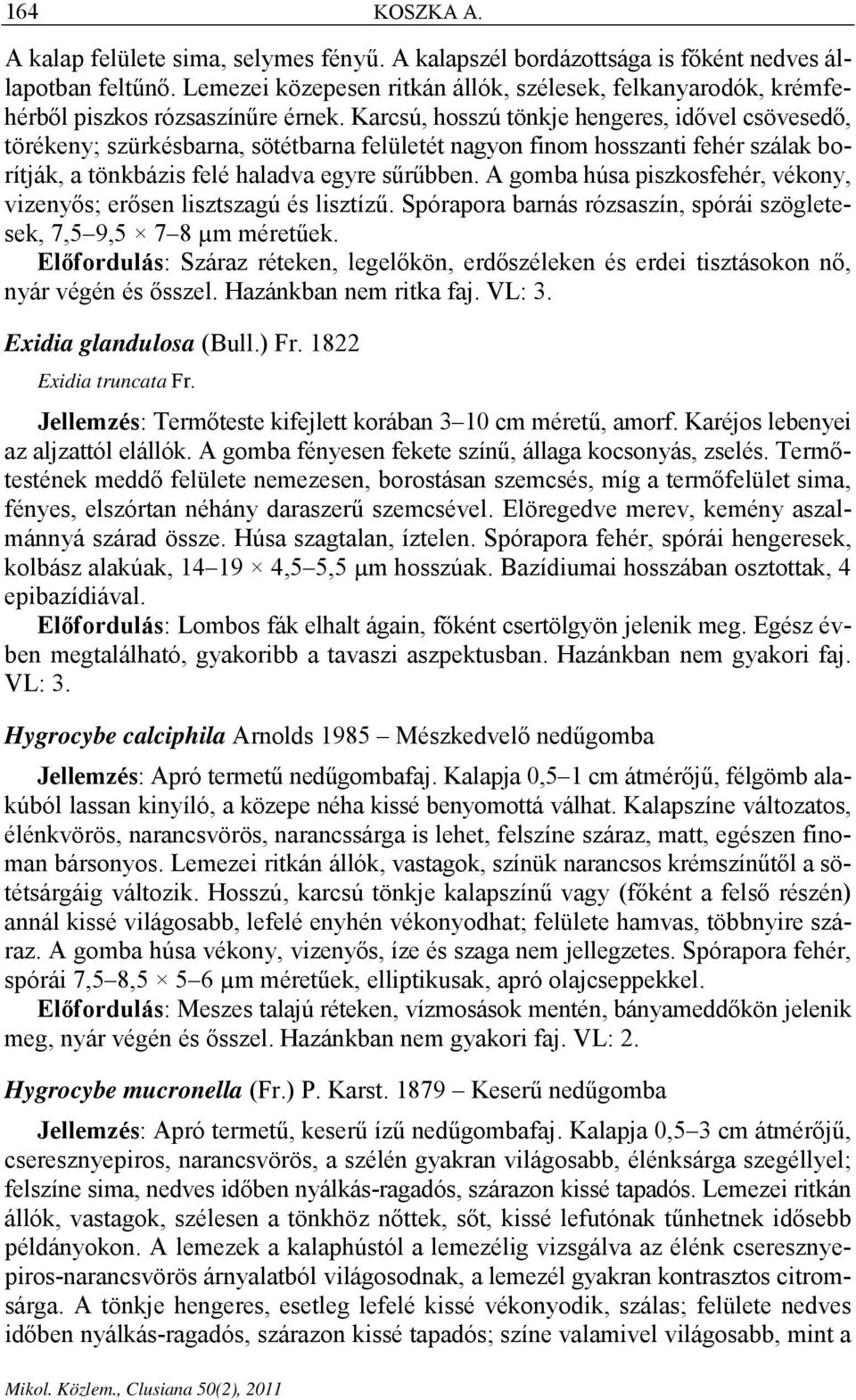 Karcsú, hosszú tönkje hengeres, idővel csövesedő, törékeny; szürkésbarna, sötétbarna felületét nagyon finom hosszanti fehér szálak borítják, a tönkbázis felé haladva egyre sűrűbben.