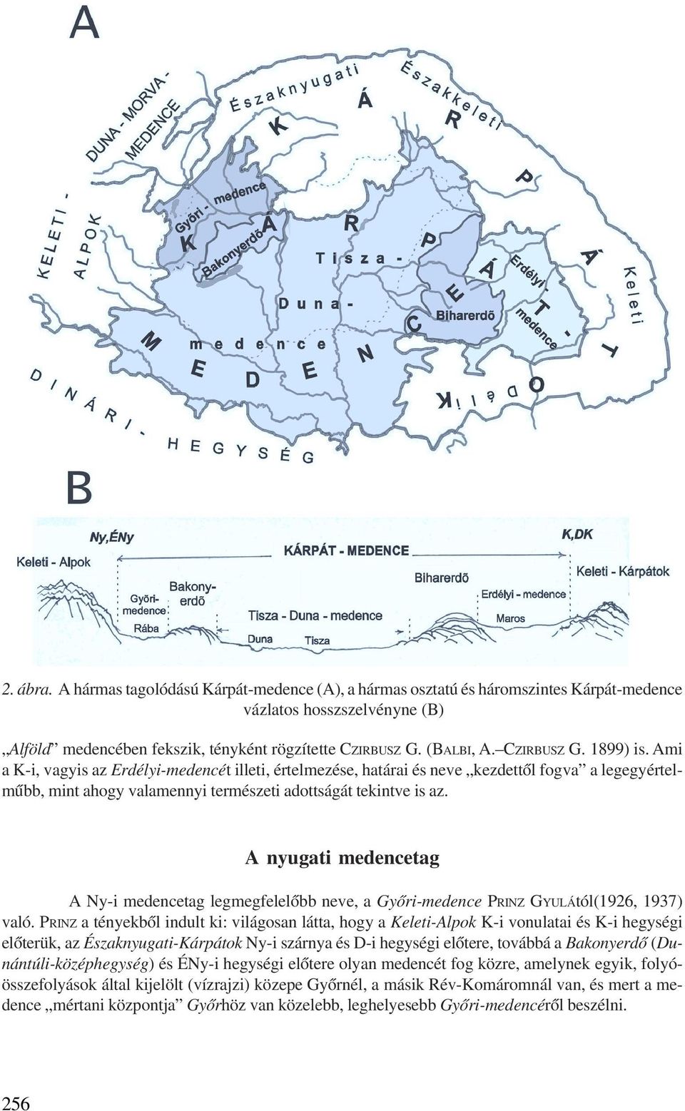 A nyugati medencetag A Ny-i medencetag legmegfelelõbb neve, a Gyõri-medence PRINZ GYULÁtól(1926, 1937) való.