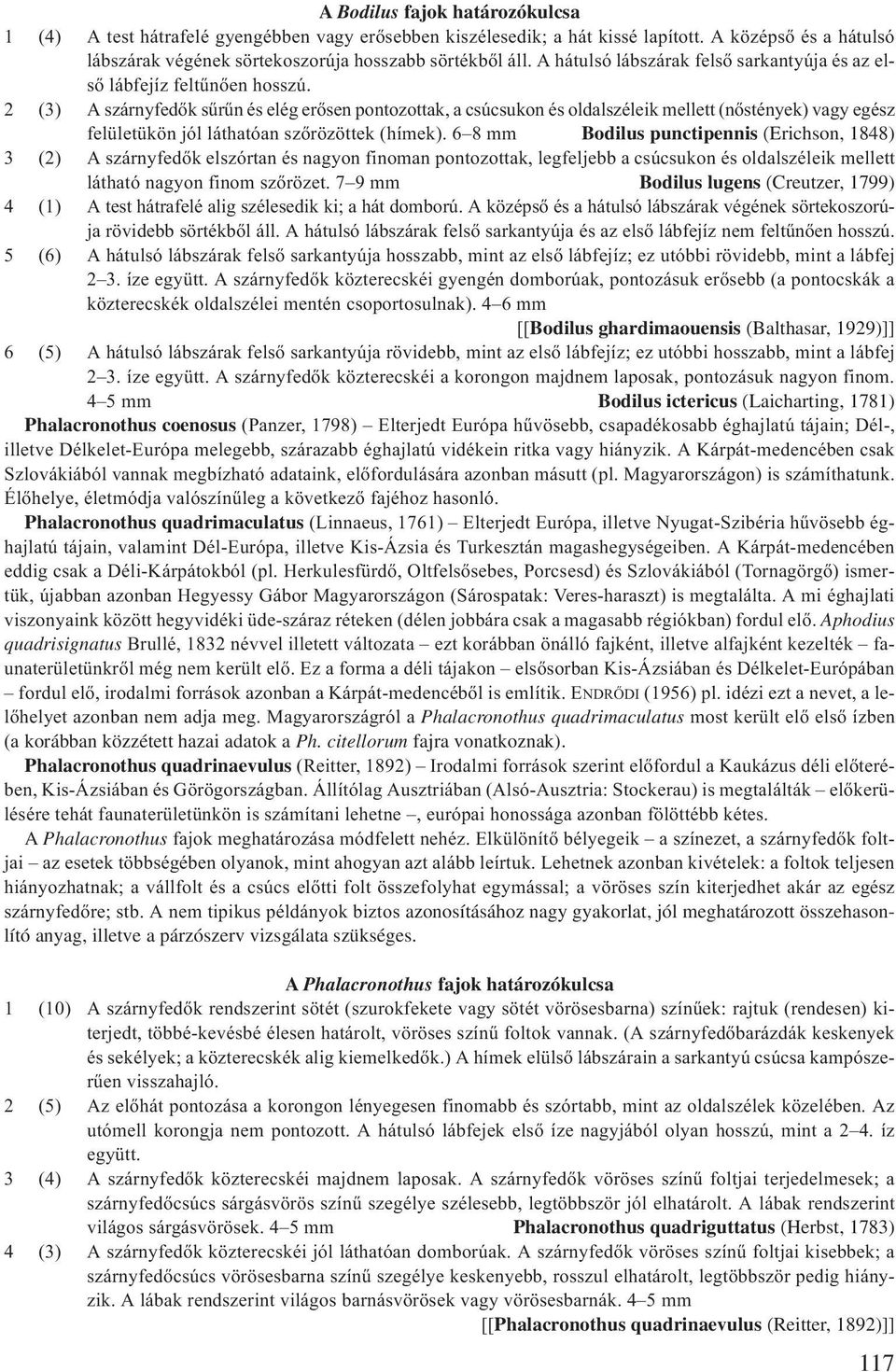 2 (3) A szárnyfedők sűrűn és elég erősen pontozottak, a csúcsukon és oldalszéleik mellett (nőstények) vagy egész felületükön jól láthatóan szőrözöttek (hímek).