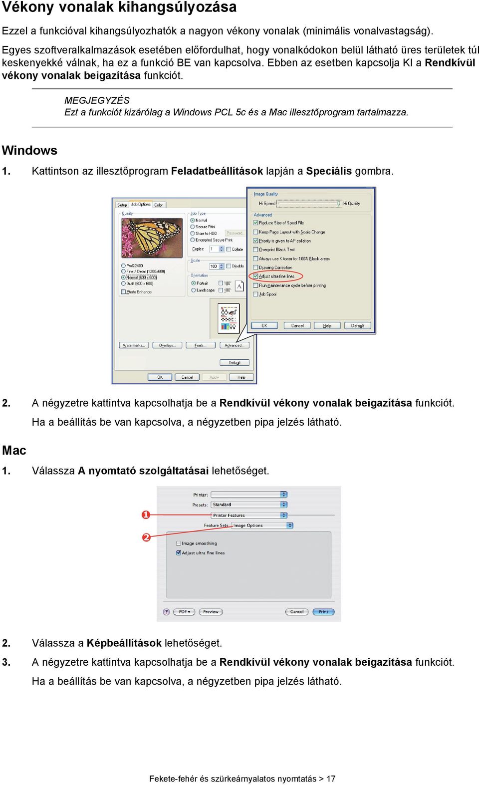 Ebben az esetben kapcsolja KI a Rendkívül vékony vonalak beigazítása funkciót. MEGJEGYZÉS Ezt a funkciót kizárólag a Windows 