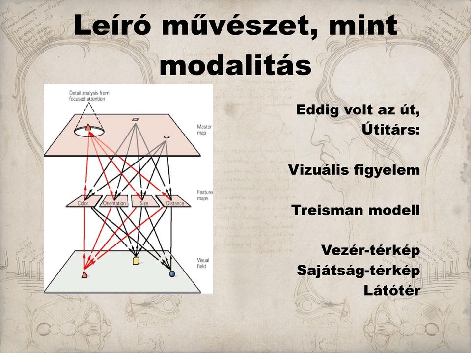 Vizuális figyelem Treisman