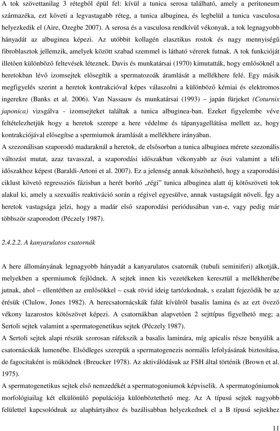 Az utóbbit kollagén elasztikus rostok és nagy mennyiségű fibroblasztok jellemzik, amelyek között szabad szemmel is látható vérerek futnak. A tok funkcióját illetően különböző feltevések léteznek.