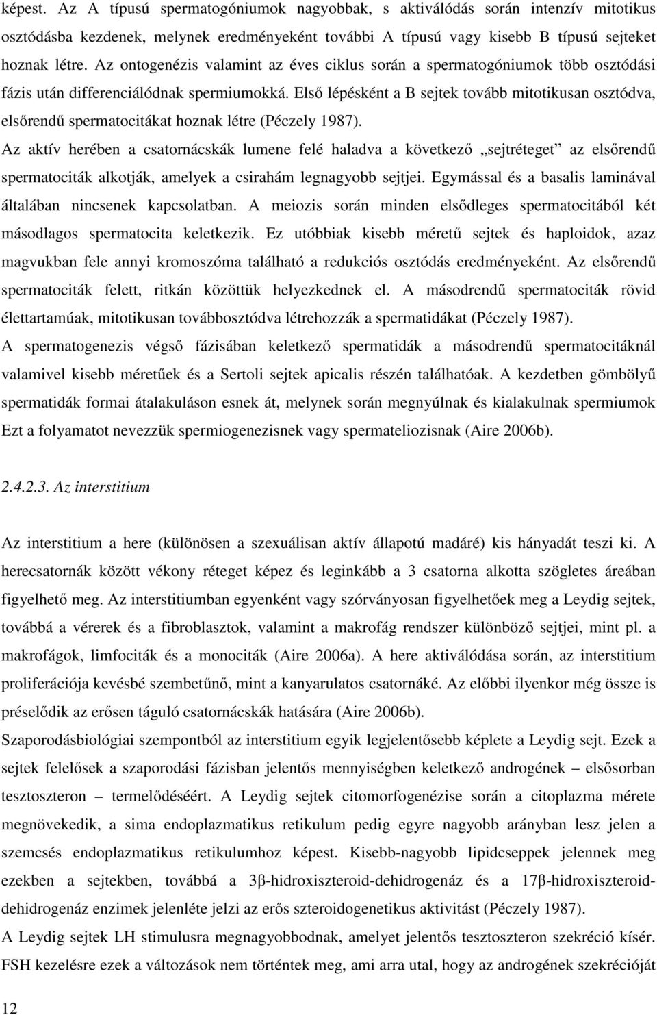 Első lépésként a B sejtek tovább mitotikusan osztódva, elsőrendű spermatocitákat hoznak létre (Péczely 1987).