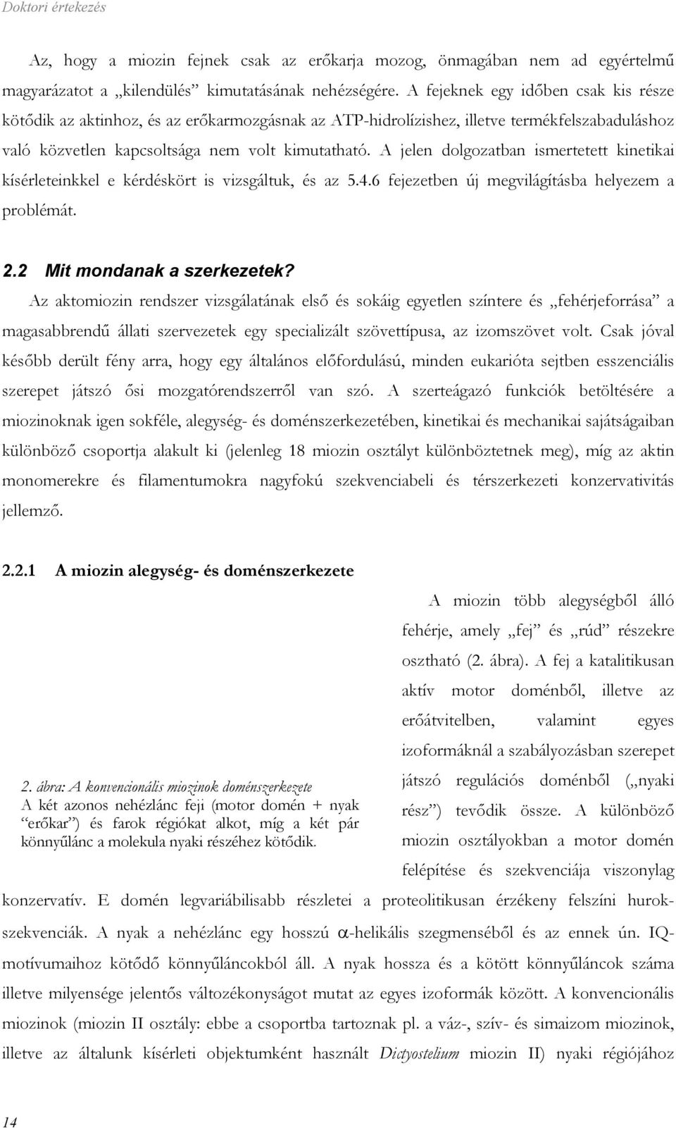 A jelen dolgozatban ismertetett kinetikai kísérleteinkkel e kérdéskört is vizsgáltuk, és az 5.4.6 fejezetben új megvilágításba helyezem a problémát. 2.2 Mit mondanak a szerkezetek?