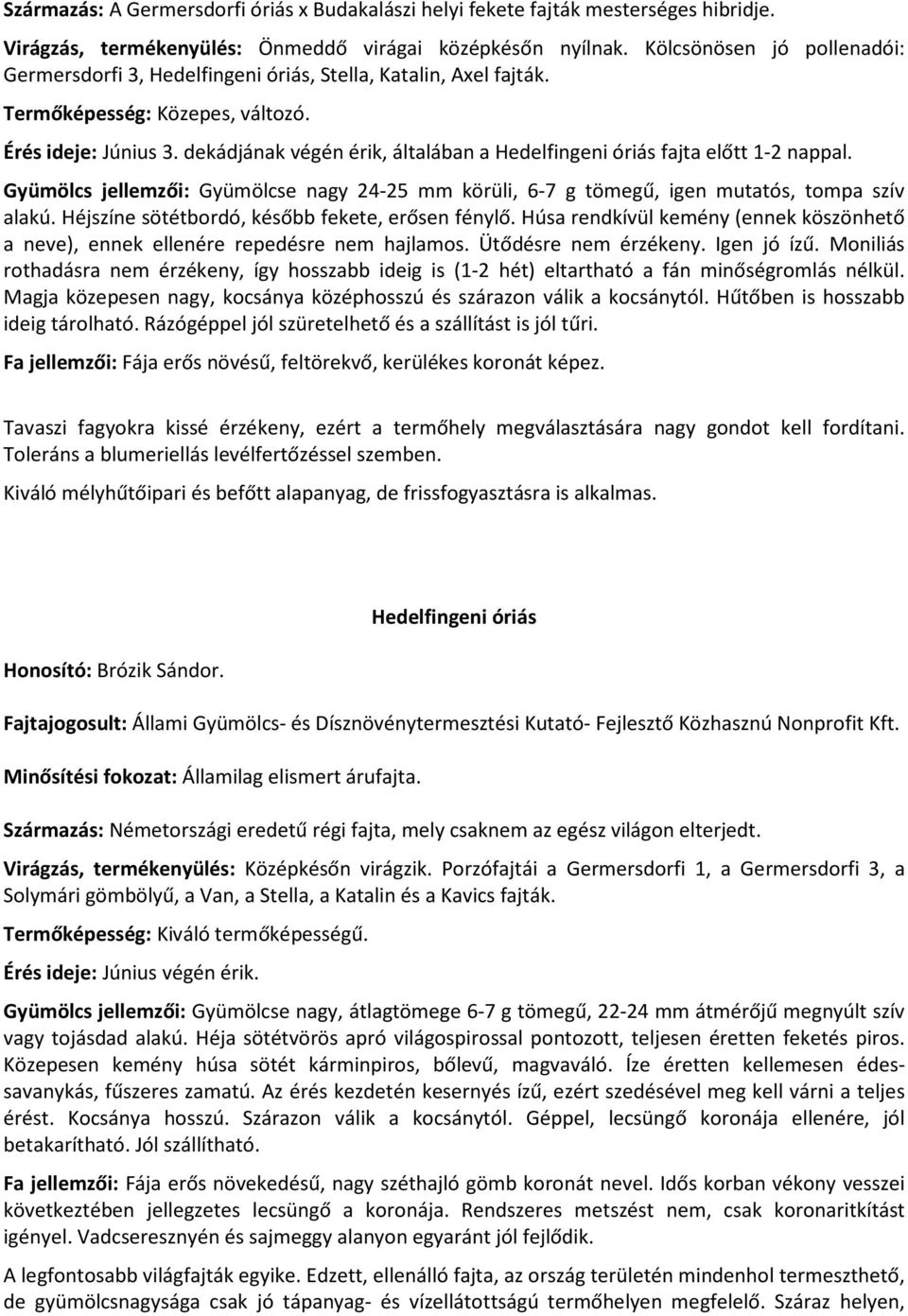 dekádjának végén érik, általában a Hedelfingeni óriás fajta előtt 1-2 nappal. Gyümölcs jellemzői: Gyümölcse nagy 24-25 mm körüli, 6-7 g tömegű, igen mutatós, tompa szív alakú.