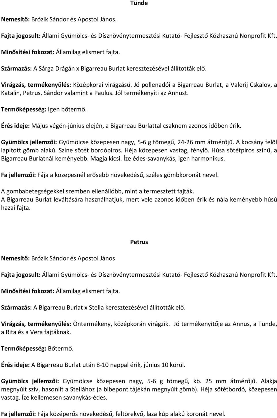 Termőképesség: Igen bőtermő. Érés ideje: Május végén-június elején, a Bigarreau Burlattal csaknem azonos időben érik. Gyümölcs jellemzői: Gyümölcse közepesen nagy, 5-6 g tömegű, 24-26 mm átmérőjű.