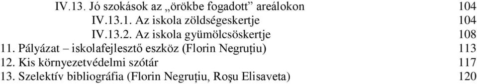 Pályázat iskolafejlesztő eszköz (Florin Negruţiu) 113 12.