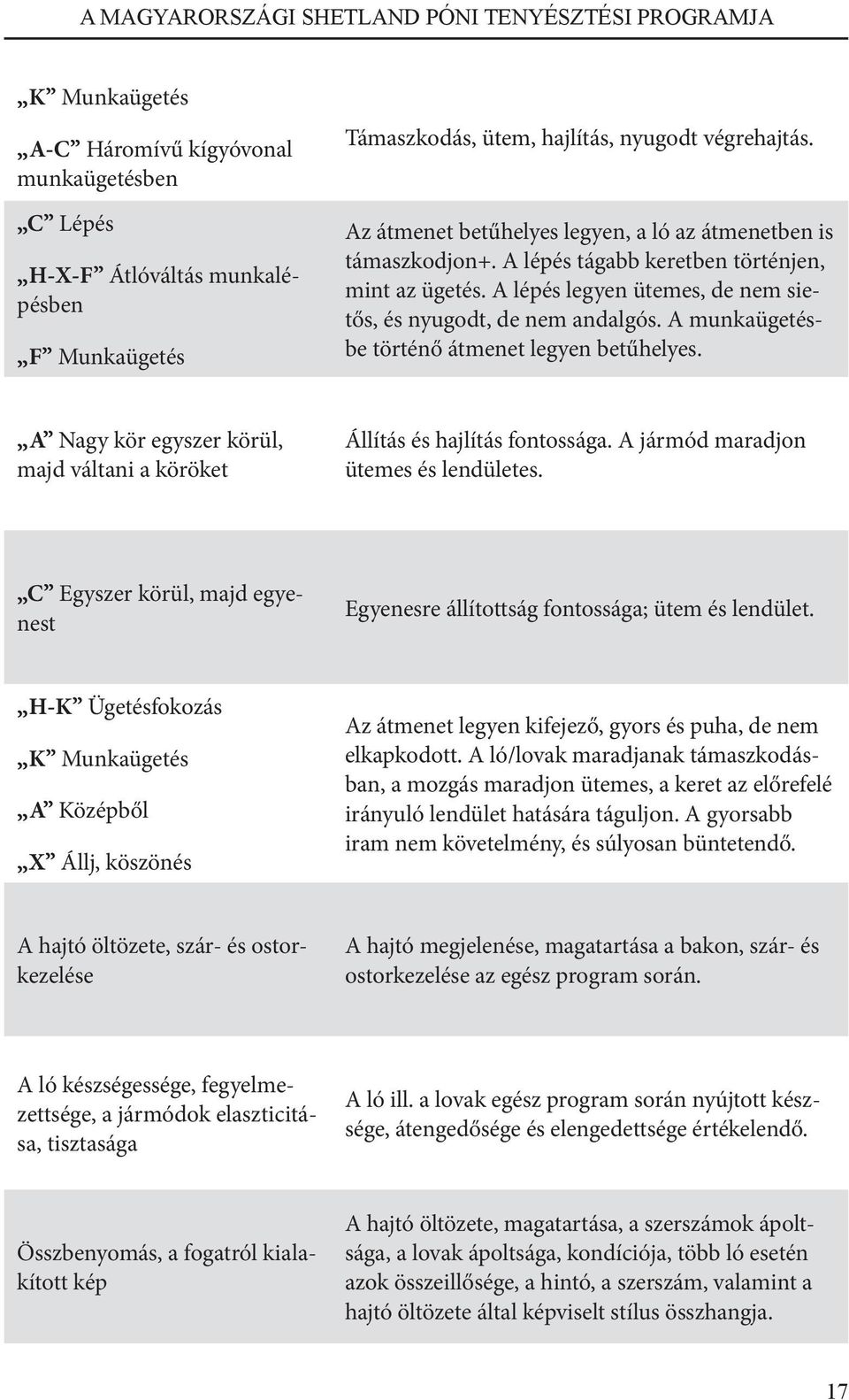 A munkaügetésbe történő átmenet legyen betűhelyes. A Nagy kör egyszer körül, majd váltani a köröket Állítás és hajlítás fontossága. A jármód maradjon ütemes és lendületes.