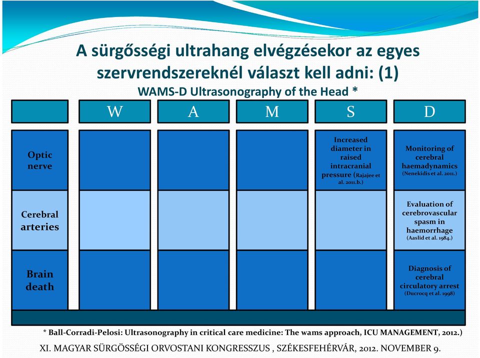 ) Monitoring of cerebral haemadynamics (Nenekidis et al. 2011.