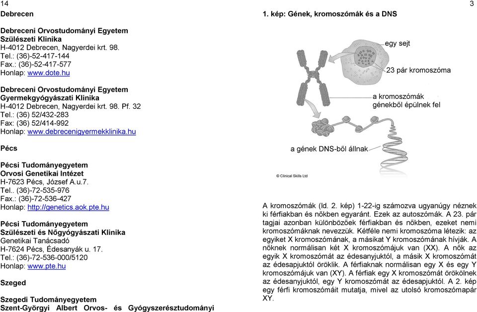 kép: Gének, kromoszómák és a DNS 3 Pécsi Tudományegyetem Orvosi Genetikai Intézet H-7623 Pécs, József A.u.7. Tel.. (36)-72-535-976 Fax.: (36)-72-536-427 Honlap: http://genetics.aok.pte.