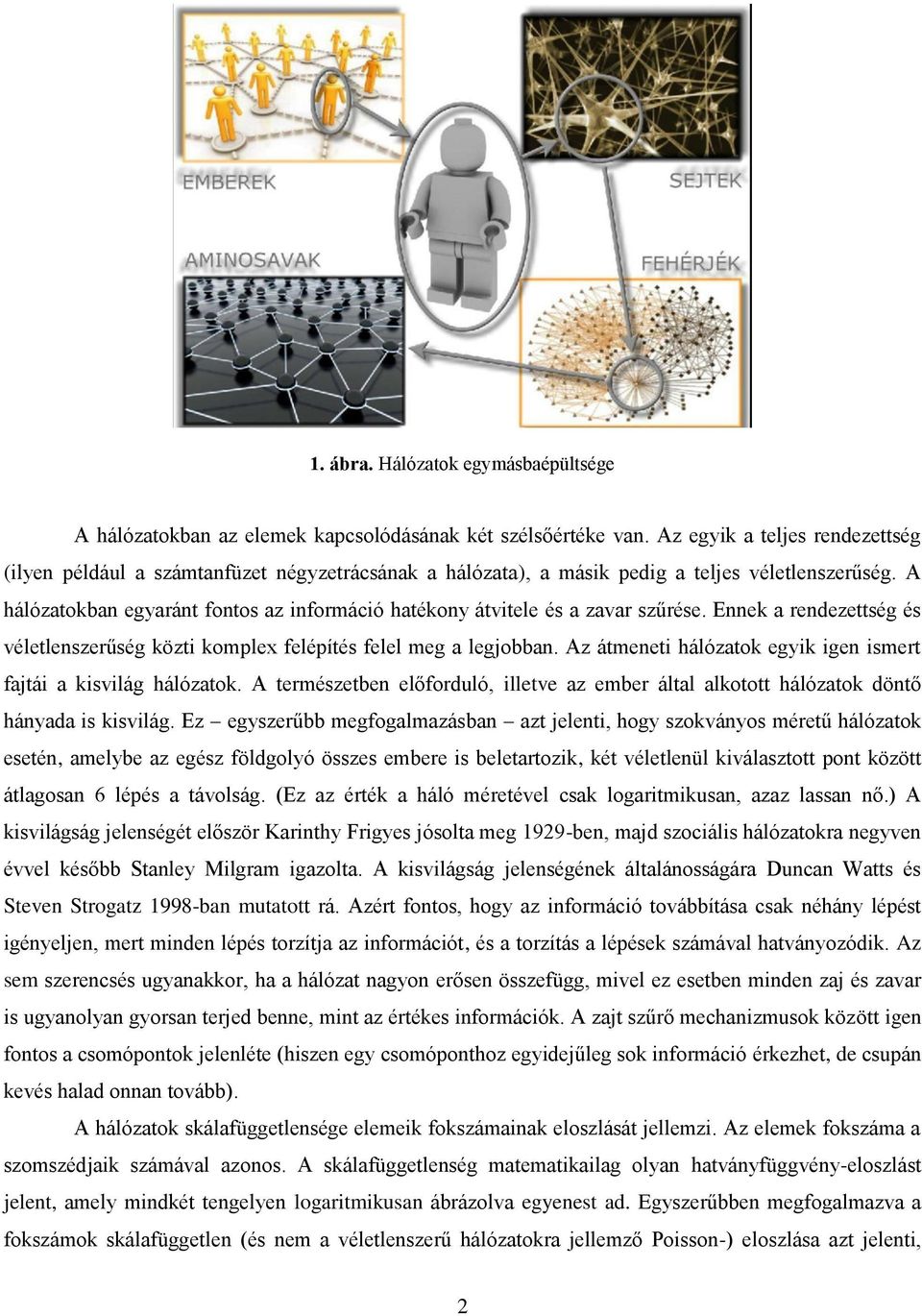 A hálózatokban egyaránt fontos az információ hatékony átvitele és a zavar szűrése. Ennek a rendezettség és véletlenszerűség közti komplex felépítés felel meg a legjobban.