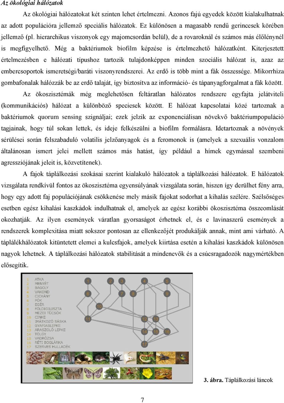 Még a baktériumok biofilm képzése is értelmezhető hálózatként.