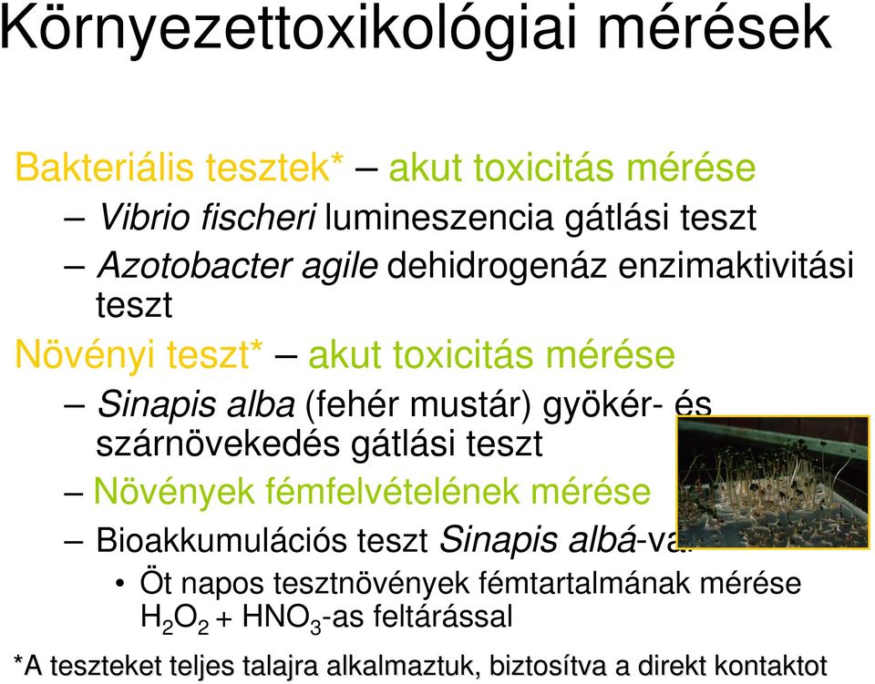 gyökér- és szárnövekedés gátlási teszt Növények fémfelvételének mérése Bioakkumulációs teszt Sinapis albá-val Öt napos