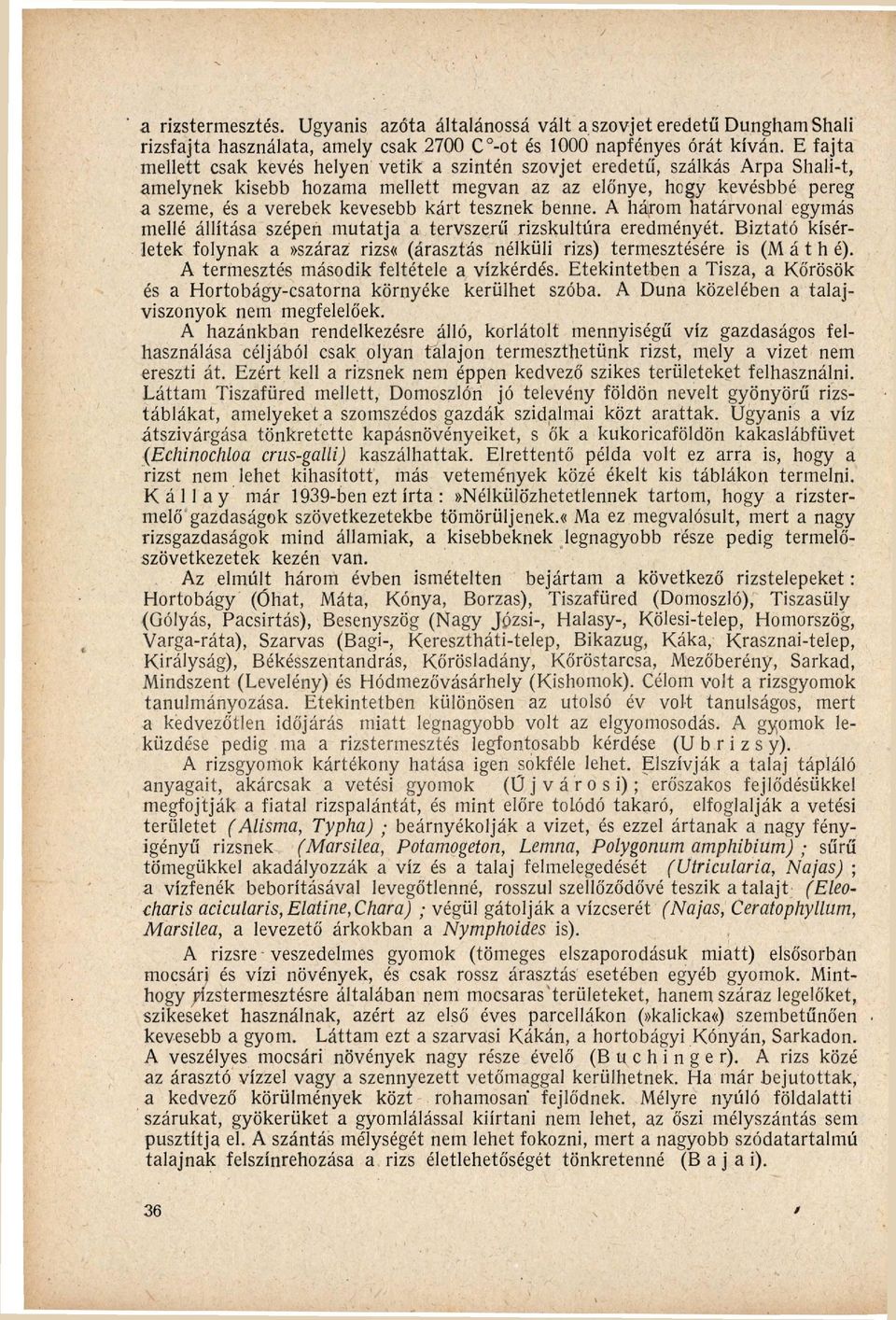 r t tesznek benne. A h á r o m h a t á r v o n a l egymás mellé állítása szépen mutatja a tervszerű rizskultúra eredményét.