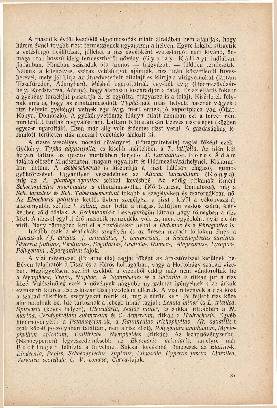 I n d i á b a n, J a p á n b a n, K í n á b a n századok óta azonos t r á g y á z o t t földben termesztik, N á l u n k a kilencéves, száraz vetésforgót ajánlják, rizs u t á n közvetlenül füves