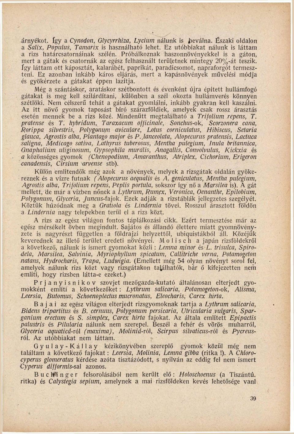 P r ó b á l k o z n a k haszonnövényekkel is a gáton, mert a g á t a k és c s a t o r n á k az egész felhasznált területnek mintegy 2 0 % - á t teszik, í g y l á t t a m ott k á p o s z t á t,