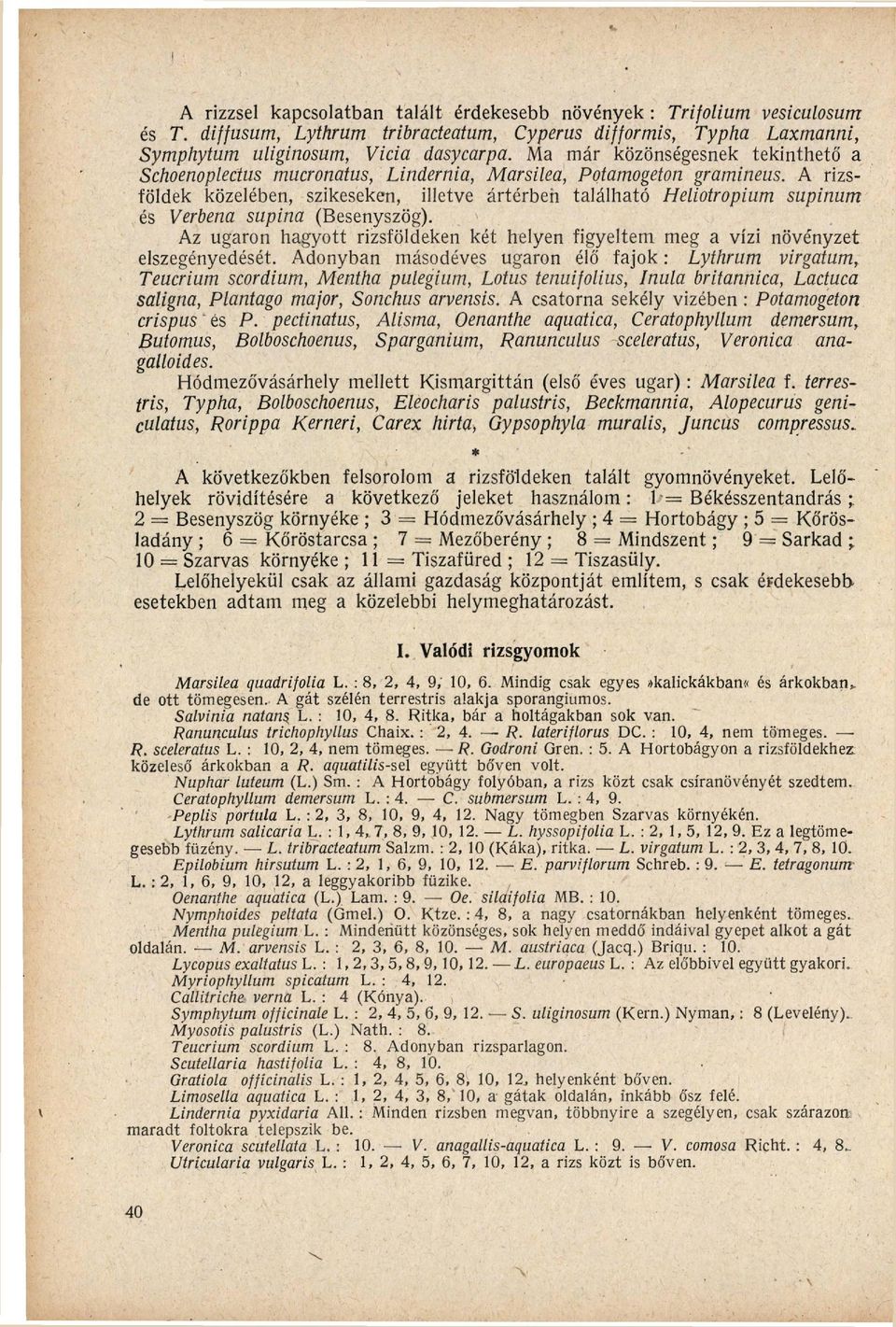 A rizs földek közelében, szikeseken, illetve á r t é r b e n t a l á l h a t ó Heliotropium supinum és Verbena supina (Besenyszög).