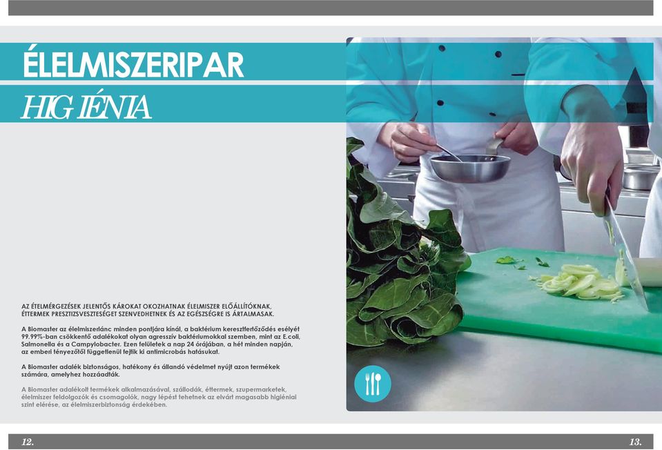 coli, Salmonella és a Campylobacter. Ezen felületek a nap 24 órájában, a hét minden napján, az emberi tényezőtől függetlenül fejtik ki antimicrobás hatásukat.