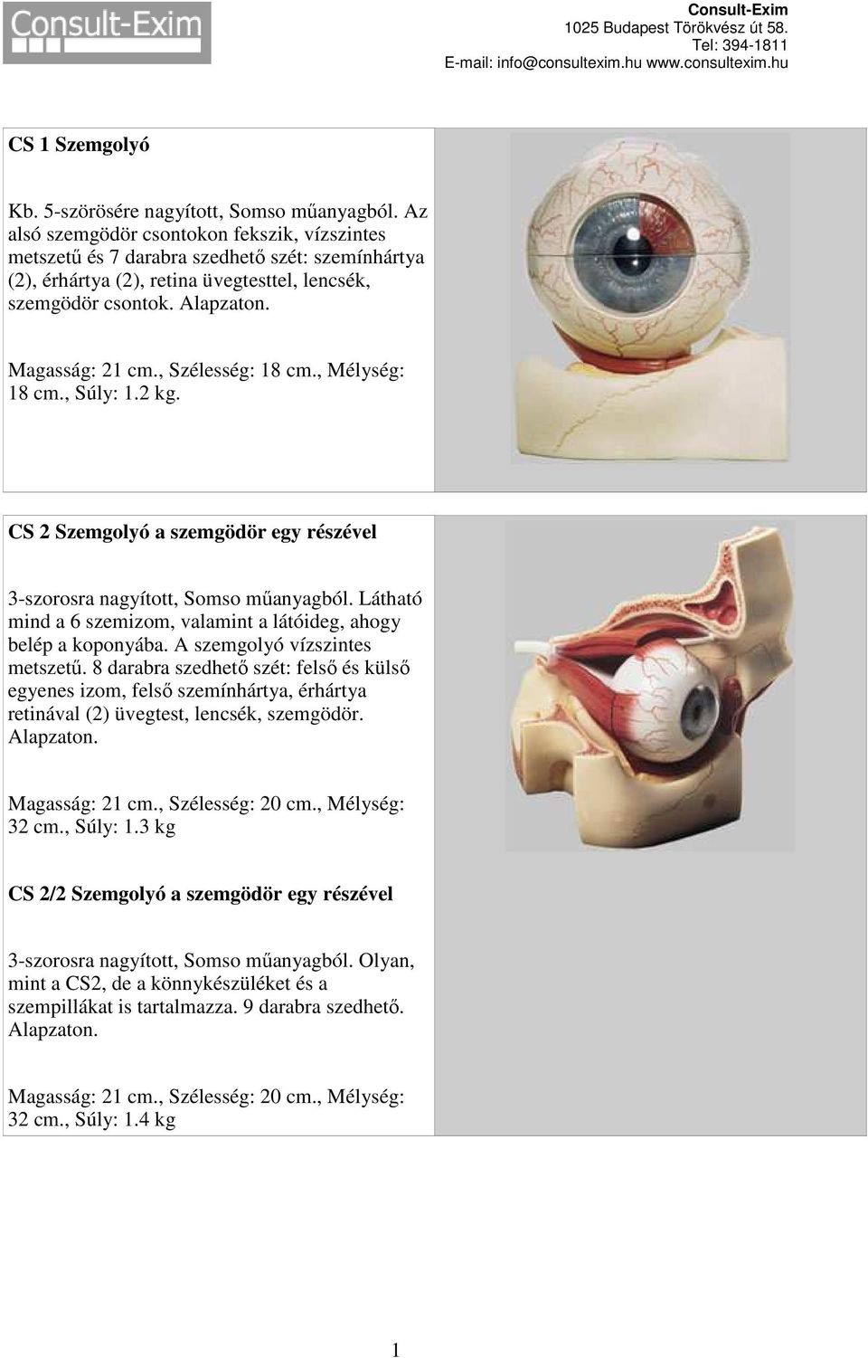 , Szélesség: 18 cm., Mélység: 18 cm., Súly: 1.2 kg. CS 2 Szemgolyó a szemgödör egy részével 3-szorosra nagyított, Somso műanyagból.