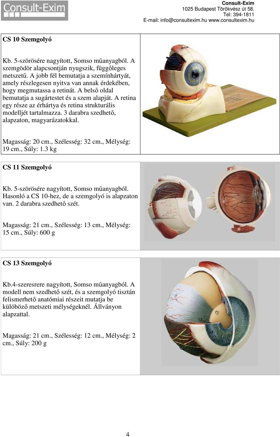 A retina egy része az érhártya és retina strukturális modelljét tartalmazza. 3 darabra szedhető, alapzaton, magyarázatokkal. Magasság: 20 cm., Szélesség: 32 cm., Mélység: 19 cm., Súly: 1.