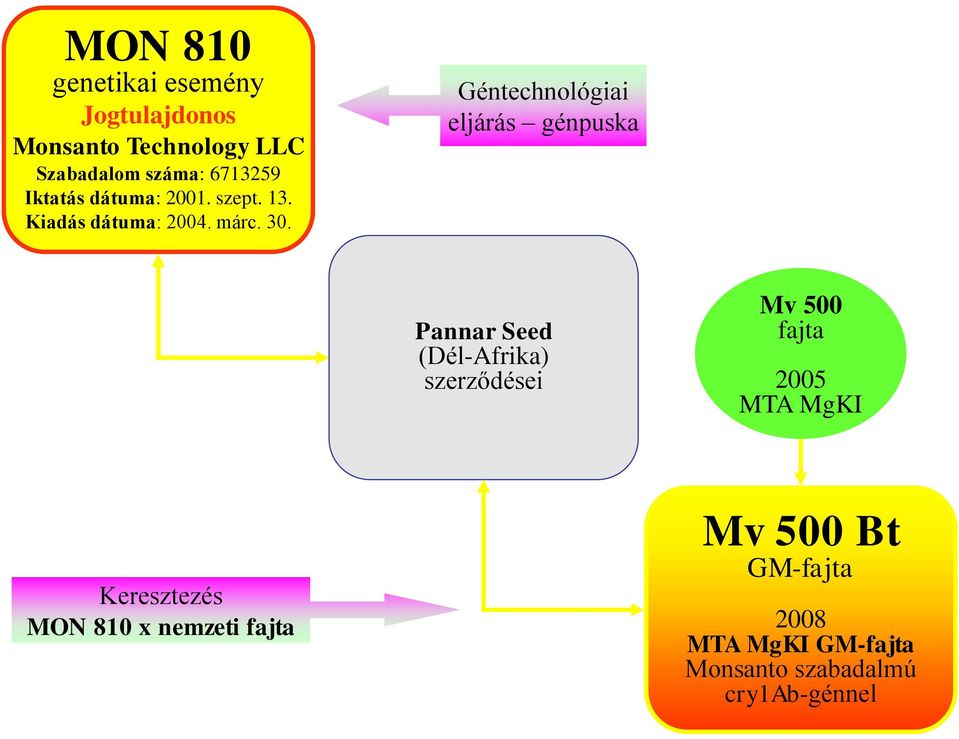Géntechnológiai eljárás génpuska Pannar Seed (Dél-Afrika) szerződései Mv 500 fajta 2005