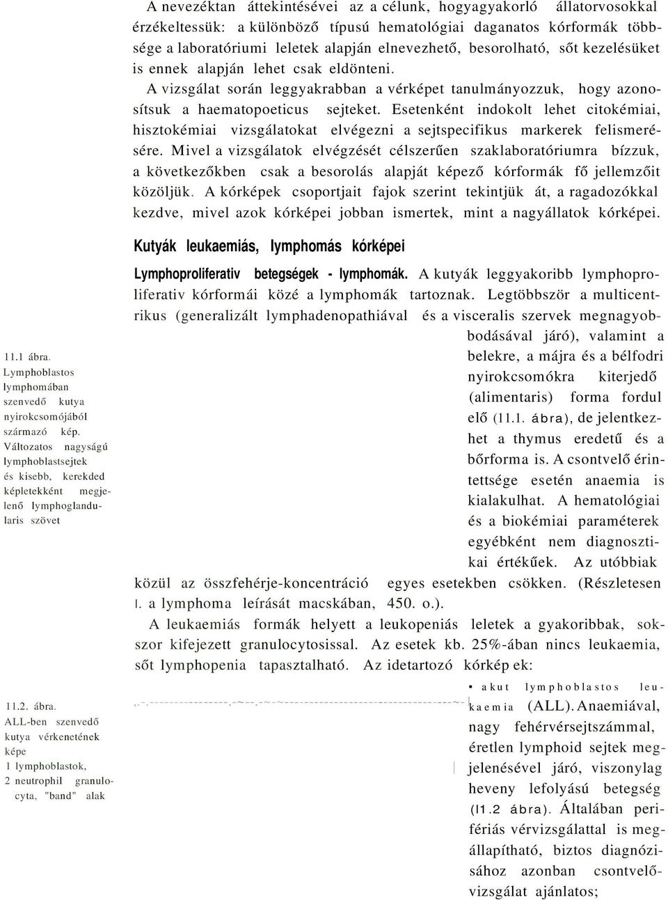 Esetenként indokolt lehet citokémiai, hisztokémiai vizsgálatokat elvégezni a sejtspecifikus markerek felismerésére.