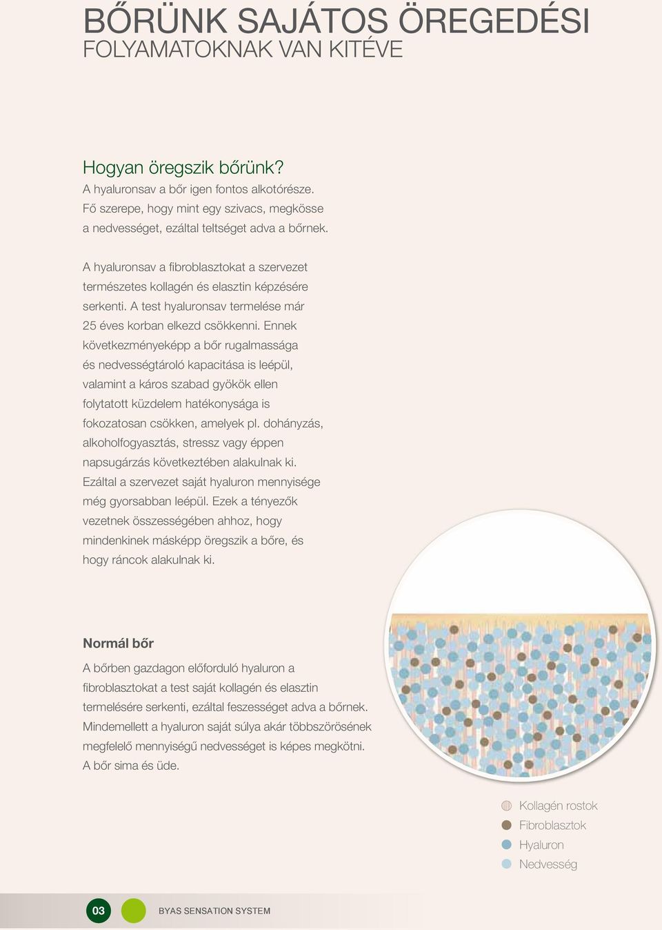 A test hyaluronsav termelése már 25 éves korban elkezd csökkenni.