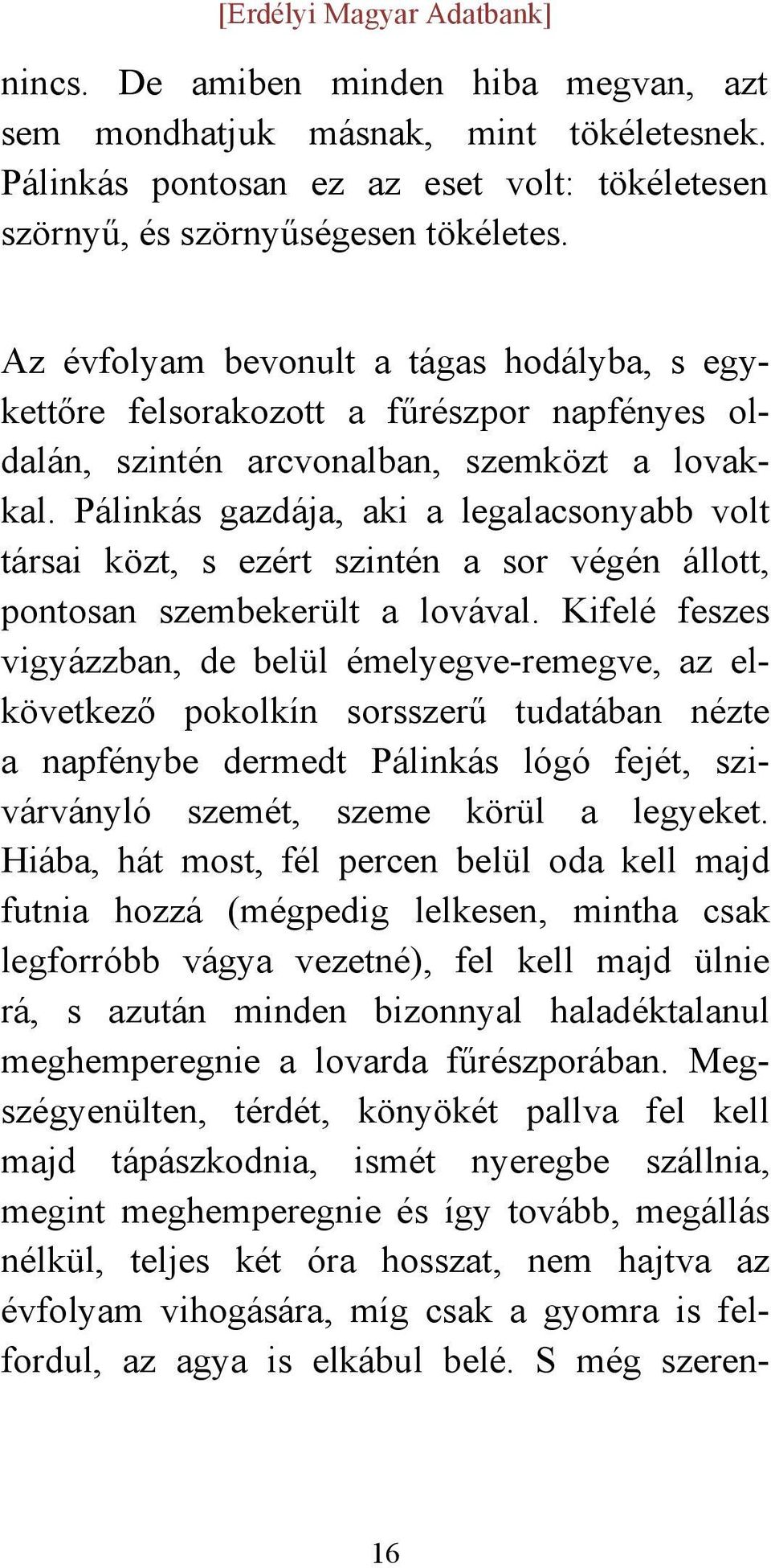 Pálinkás gazdája, aki a legalacsonyabb volt társai közt, s ezért szintén a sor végén állott, pontosan szembekerült a lovával.