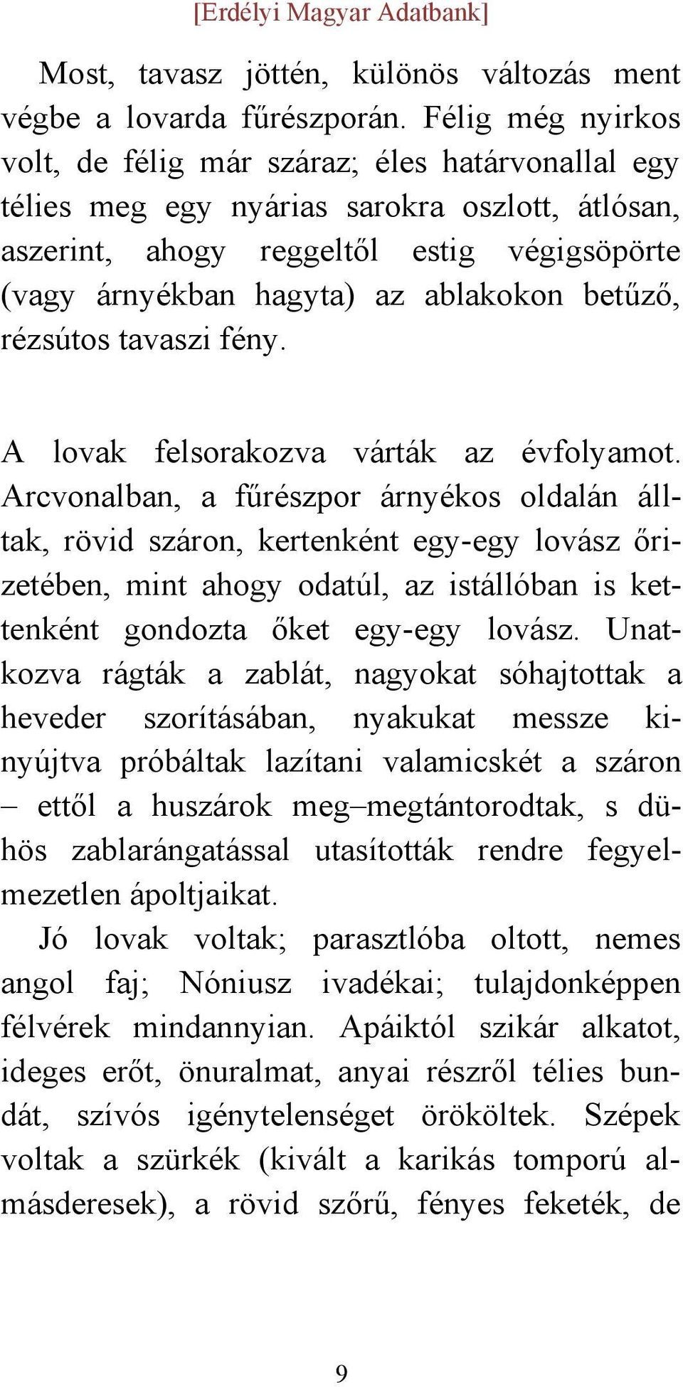 betűző, rézsútos tavaszi fény. A lovak felsorakozva várták az évfolyamot.