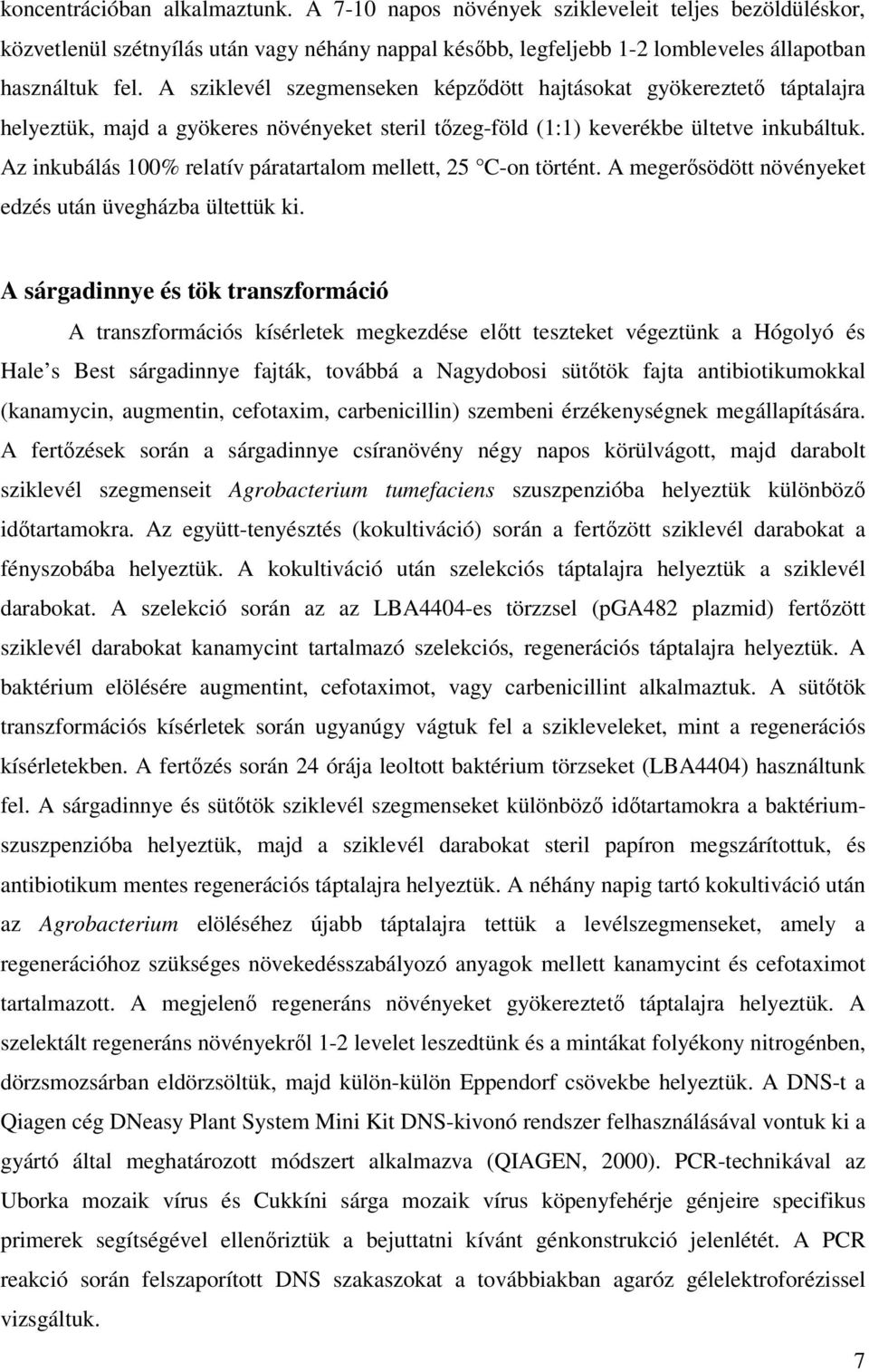 Az inkubálás 100% relatív páratartalom mellett, 25 C-on történt. A megerısödött növényeket edzés után üvegházba ültettük ki.