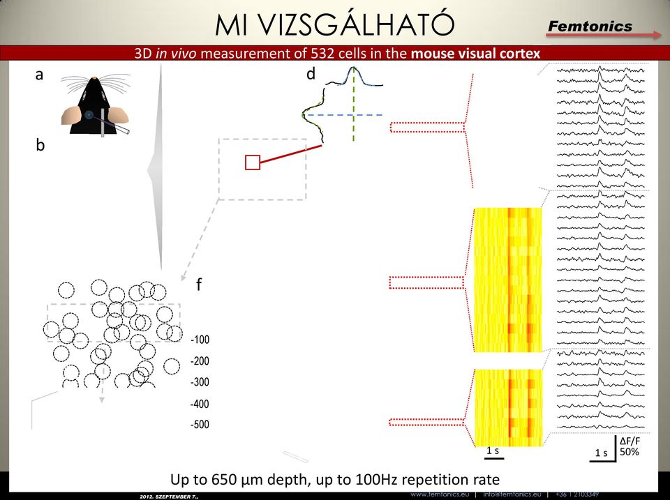 300 µm 100 µm e - 400 µm - 500 µm f 100 µm -100 50 µm -200-300