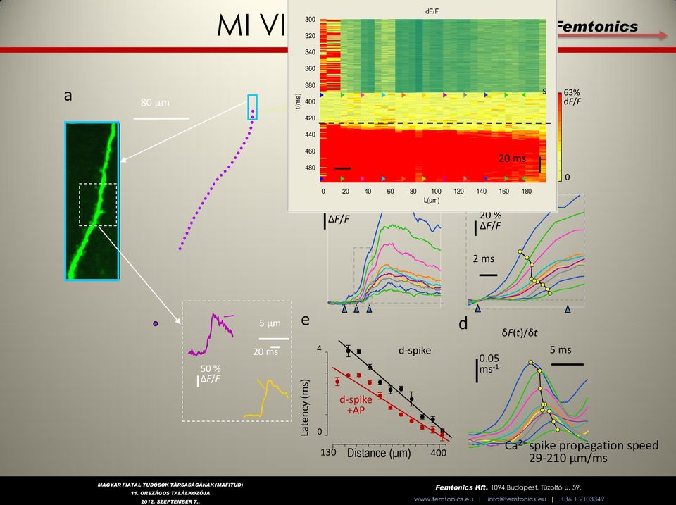 180 L(µm) 0 2 ms 50 % ΔF/F 5 µm e 20 ms Latency (ms) 4 0 d-spike +AP d-spike 130