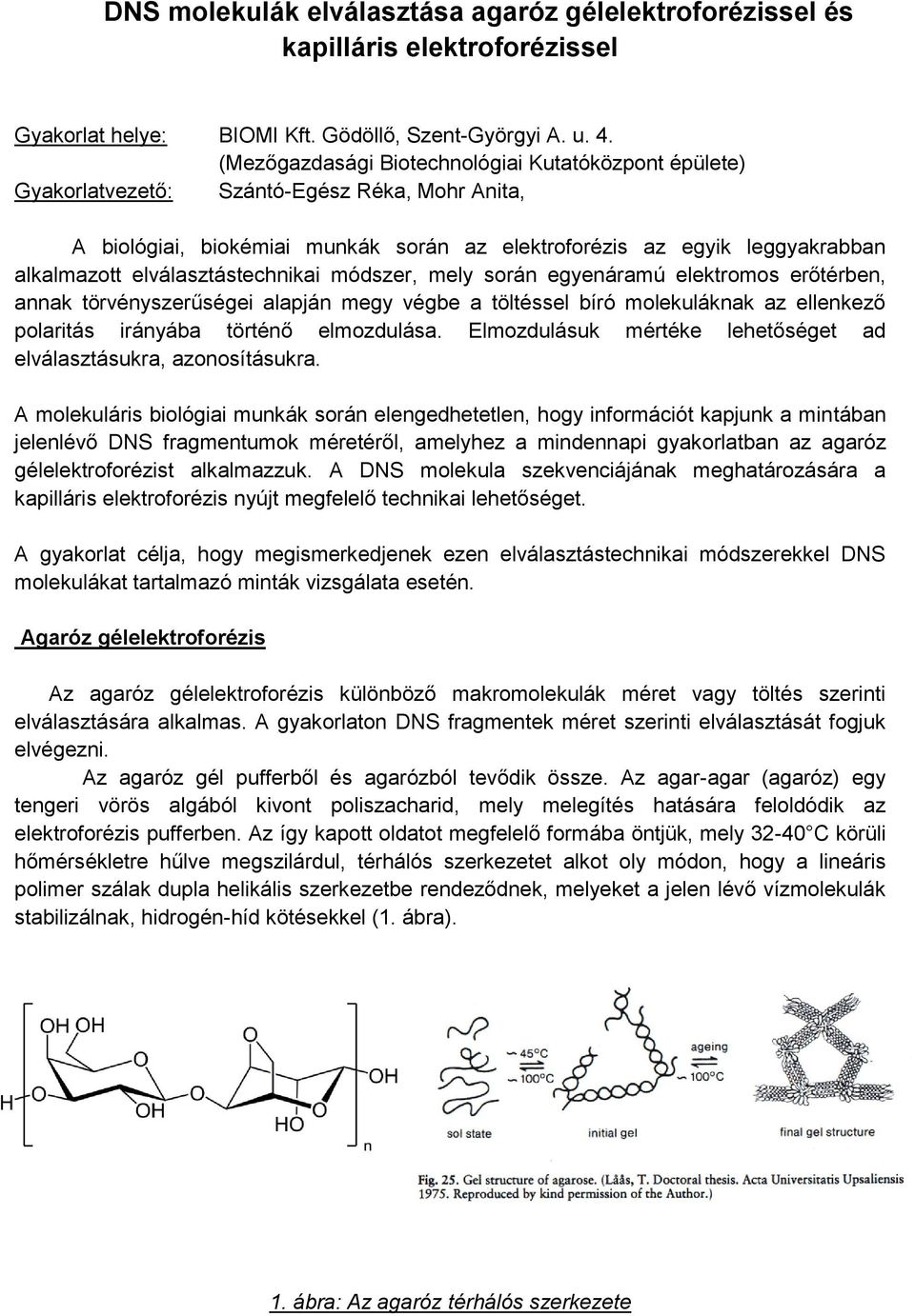 elválasztástechnikai módszer, mely során egyenáramú elektromos erőtérben, annak törvényszerűségei alapján megy végbe a töltéssel bíró molekuláknak az ellenkező polaritás irányába történő elmozdulása.