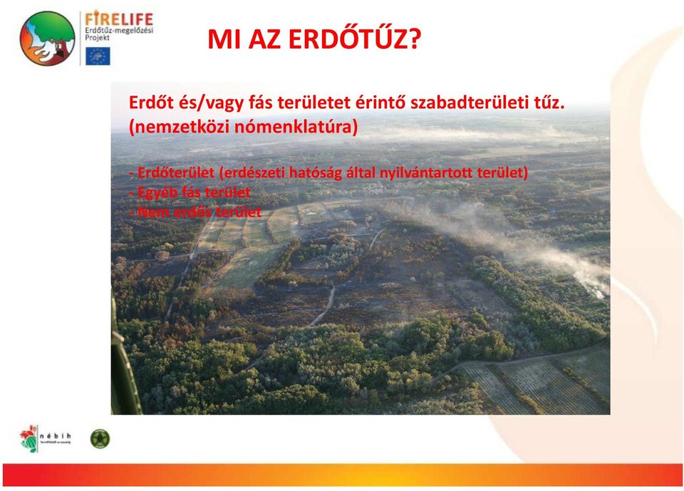 tűz. (nemzetközi nómenklatúra) - Erdőterület