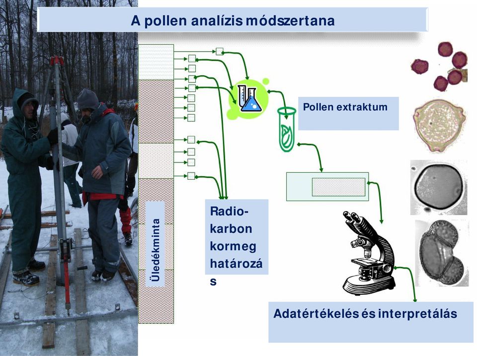 Radiokarbon kormeg határozá s