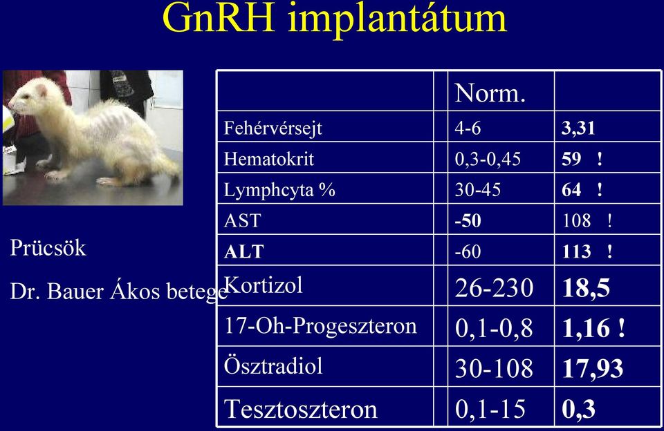 Bauer Ákos betegekortizol 17-Oh-Progeszteron Ösztradiol