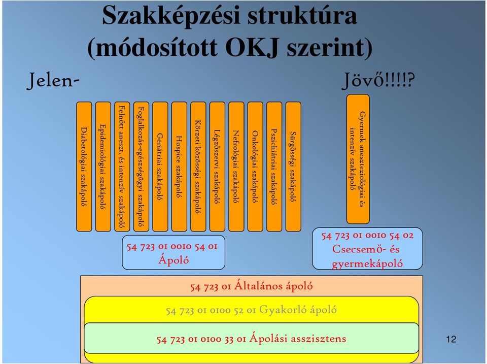 szakápoló Pszichiátriai szakápoló Onkológiai szakápoló Nefrológiai szakápoló Légzőszervi szakápoló Körzeti közösségi szakápoló Hospice szakápoló