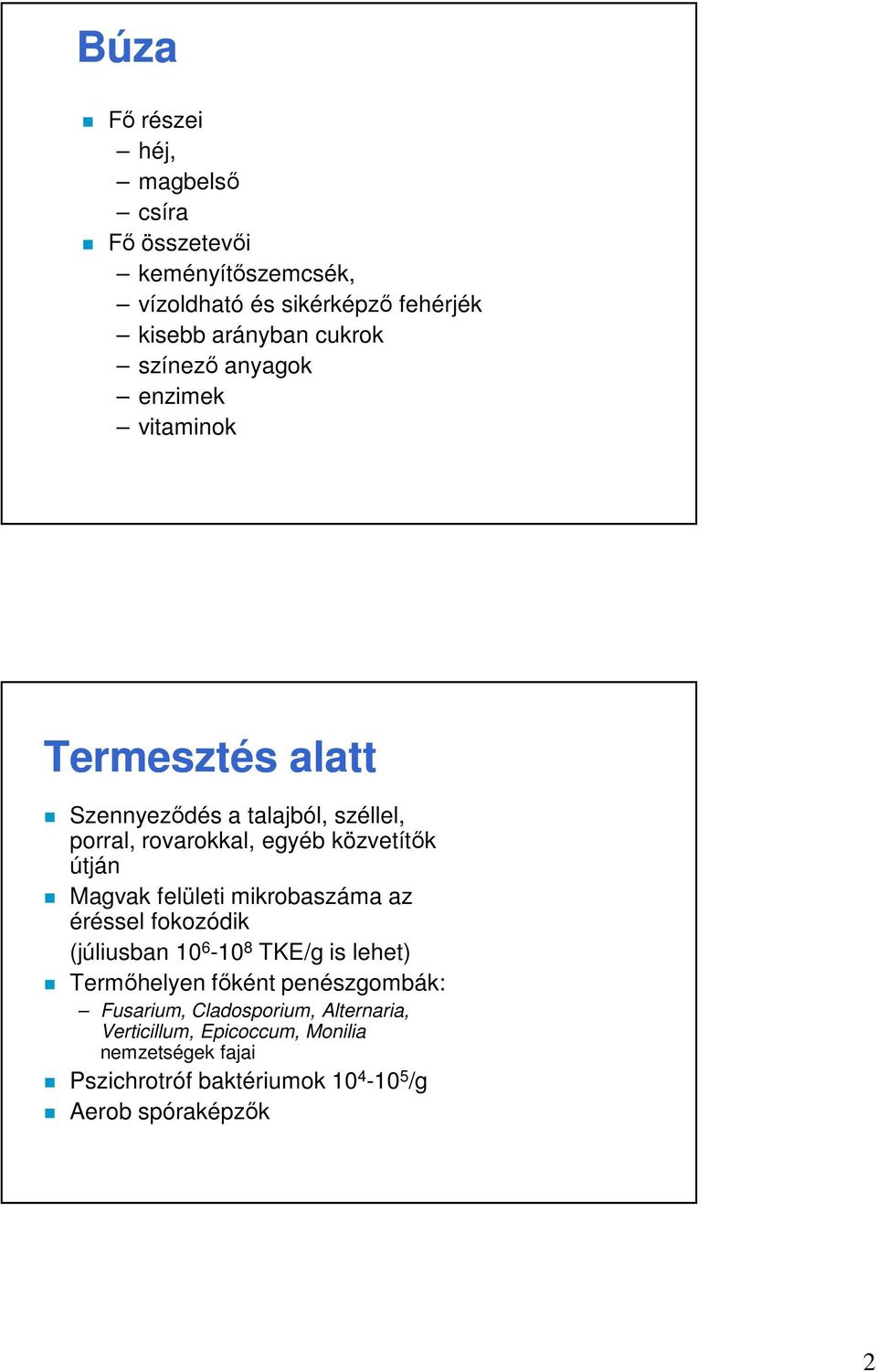 Magvak felületi mikrobaszáma az éréssel fokozódik (júliusban 10 6-10 8 TKE/g is lehet) Termőhelyen főként penészgombák: