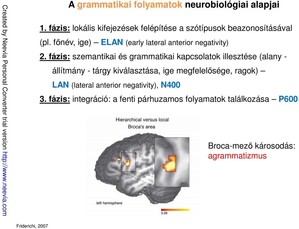 főnév, ige) ELAN (early lateral anterior negativity) 2.