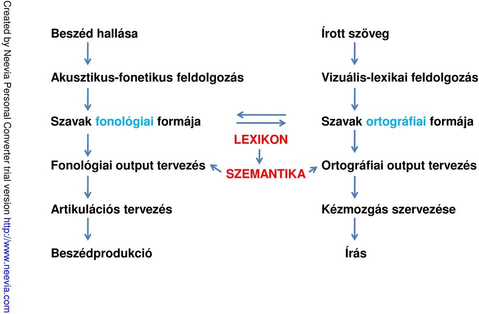 tervezés Beszédprodukció Írott szöveg Vizuális-lexikai feldolgozás