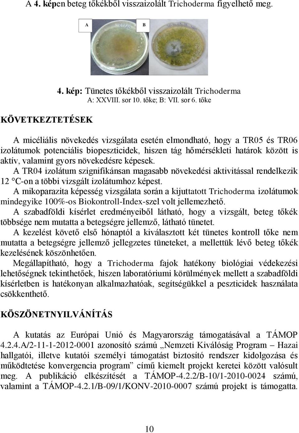 képesek. A TR04 izolátum szignifikánsan magasabb növekedési aktivitással rendelkezik 12 C-on a többi vizsgált izolátumhoz képest.