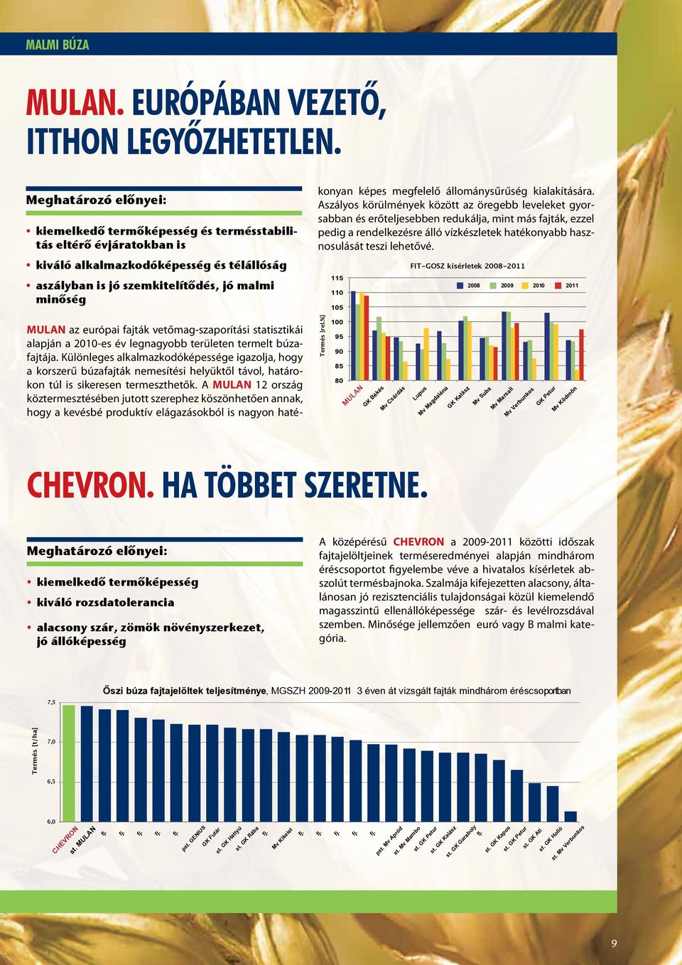 Aszályos körülmények között az öregebb leveleket gyorsabban és erőteljesebben redukálja, mint más fajták, ezzel pedig a rendelkezésre álló vízkészletek hatékonyabb hasznosulását teszi lehetővé.