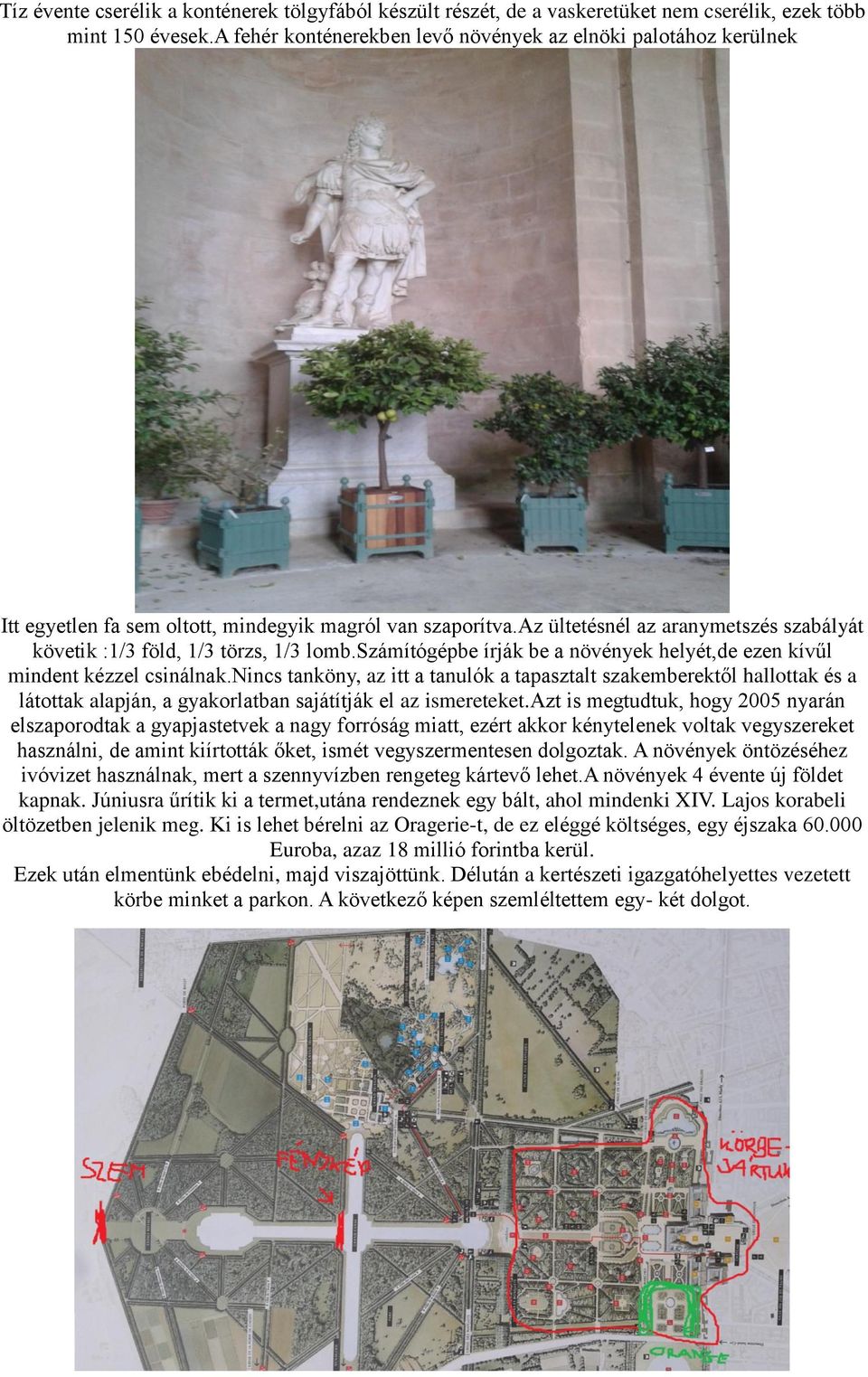 az ültetésnél az aranymetszés szabályát követik :1/3 föld, 1/3 törzs, 1/3 lomb.számítógépbe írják be a növények helyét,de ezen kívűl mindent kézzel csinálnak.