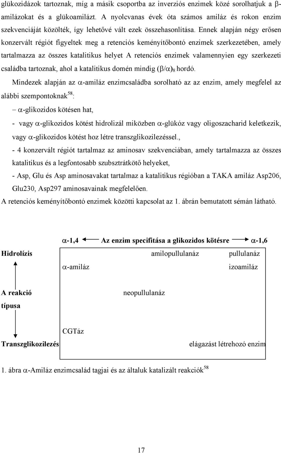 Ennek alapján négy erősen konzervált régiót figyeltek meg a retenciós keményítőbontó enzimek szerkezetében, amely tartalmazza az összes katalitikus helyet A retenciós enzimek valamennyien egy