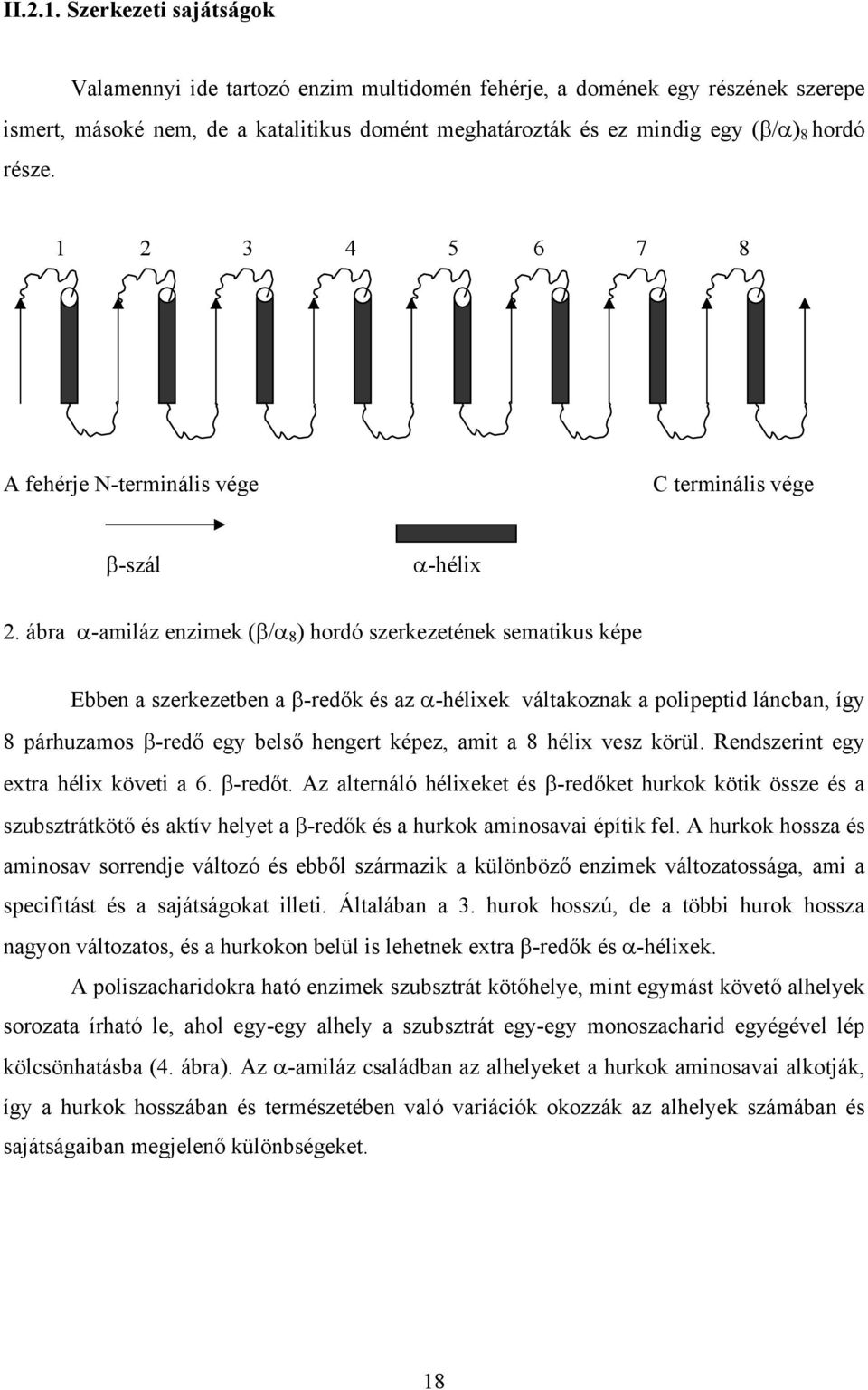 1 2 3 4 5 6 7 8 A fehérje N-terminális vége C terminális vége β-szál α-hélix 2.